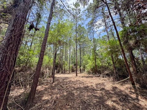 Tiny photo for 7 Benny Griffin Road, Dallardsville, TX 77351 (MLS # 81423643)