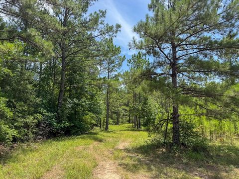 Tiny photo for 7 Benny Griffin Road, Dallardsville, TX 77351 (MLS # 81423643)