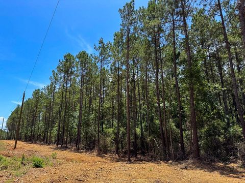 Tiny photo for 7 Benny Griffin Road, Dallardsville, TX 77351 (MLS # 81423643)