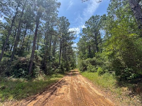 Tiny photo for 7 Benny Griffin Road, Dallardsville, TX 77351 (MLS # 81423643)