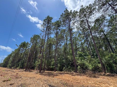 Tiny photo for 7 Benny Griffin Road, Dallardsville, TX 77351 (MLS # 81423643)