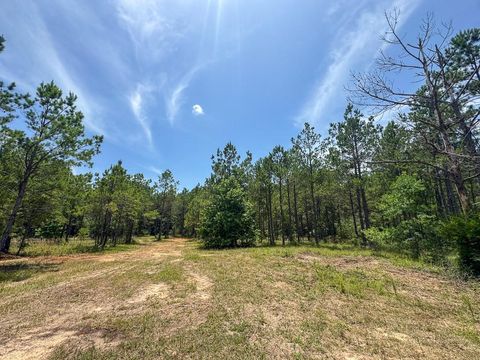 Tiny photo for 7 Benny Griffin Road, Dallardsville, TX 77351 (MLS # 81423643)