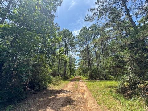 Tiny photo for 7 Benny Griffin Road, Dallardsville, TX 77351 (MLS # 81423643)