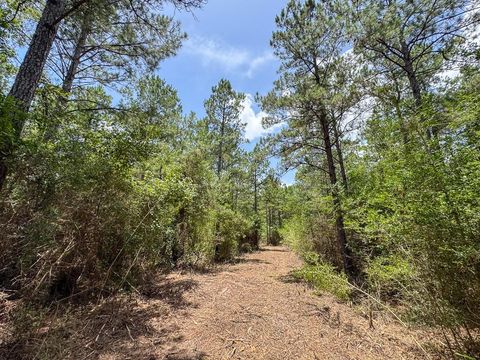 Tiny photo for 7 Benny Griffin Road, Dallardsville, TX 77351 (MLS # 81423643)