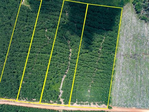 Tiny photo for 7 Benny Griffin Road, Dallardsville, TX 77351 (MLS # 81423643)