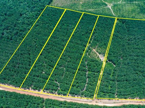 Tiny photo for 7 Benny Griffin Road, Dallardsville, TX 77351 (MLS # 81423643)