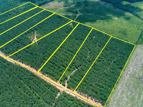 Tiny photo for 7 Benny Griffin Road, Dallardsville, TX 77351 (MLS # 81423643)