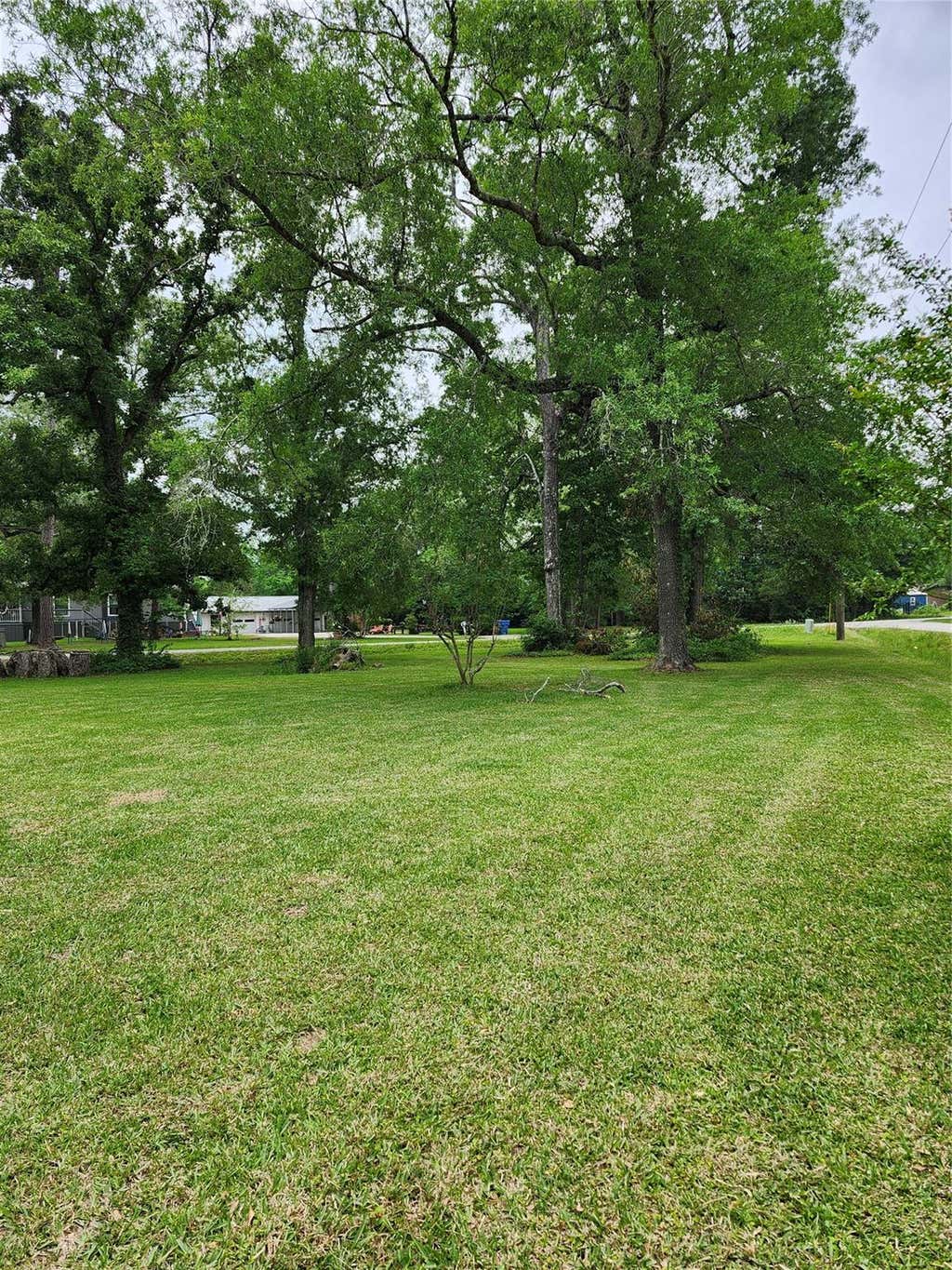 Photo of 23164 Albert Drive, Porter, TX 77365 (MLS # 13364105)