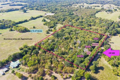 TBD County Road 520 Fairfield TX 75840