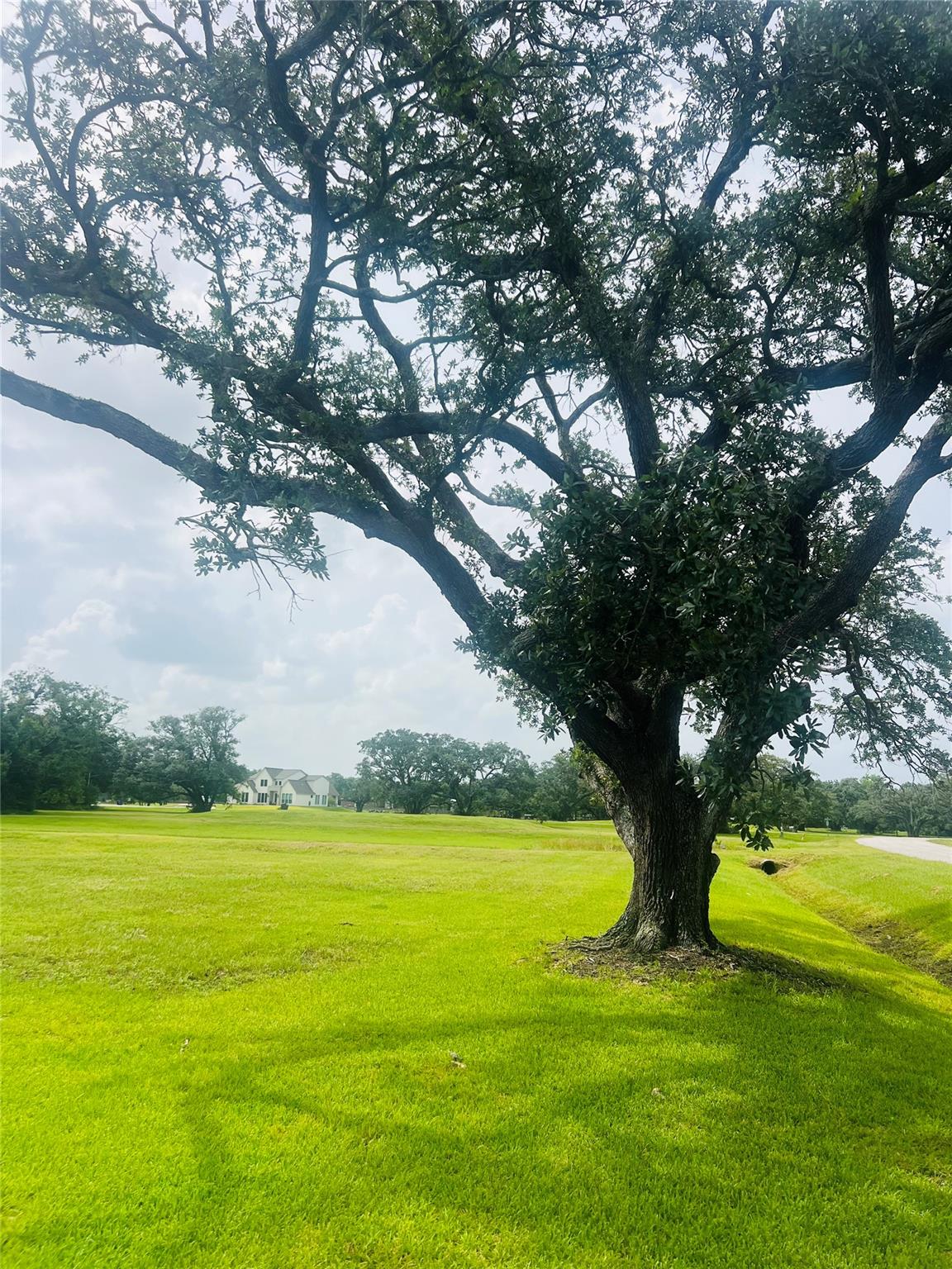 375 Thousand Oaks Drive