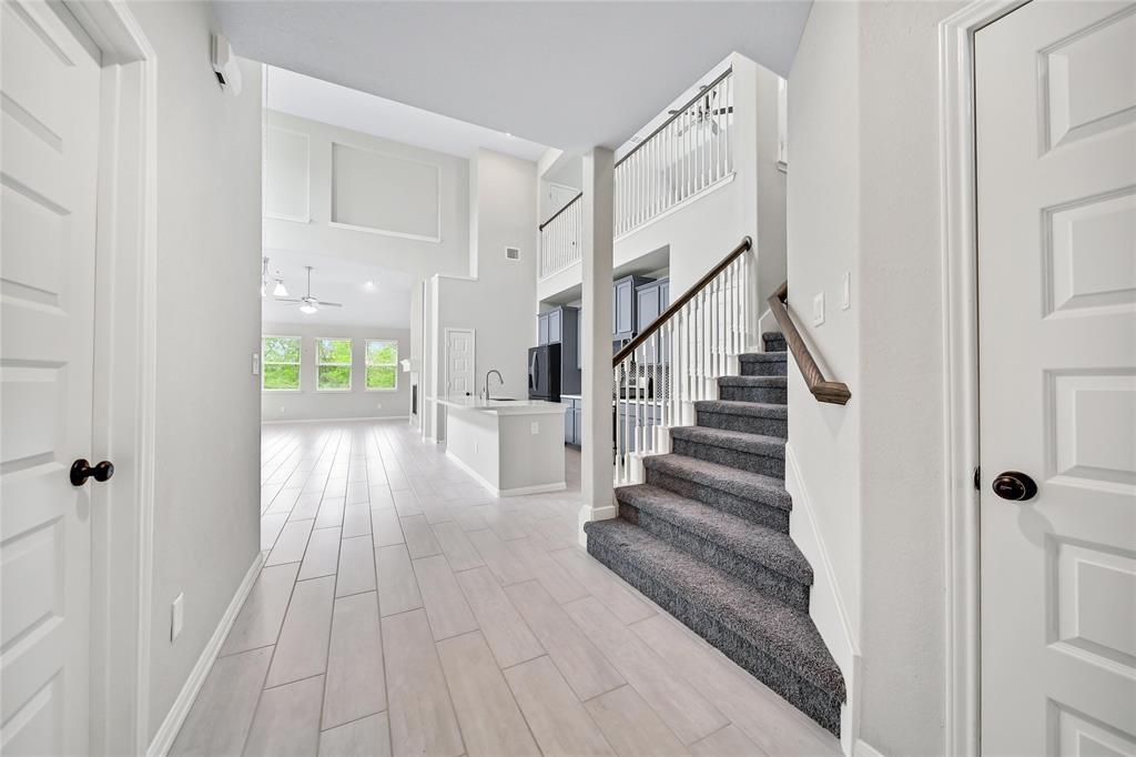 215 Little Dog Drive