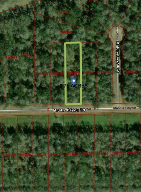 Photo of 236 Middle Bayou Trail, Angleton, TX 77515 (MLS # 33387388)
