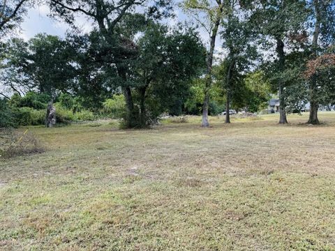 Tiny photo for TBD Daisy, Dayton, TX 77535 (MLS # 72515026)