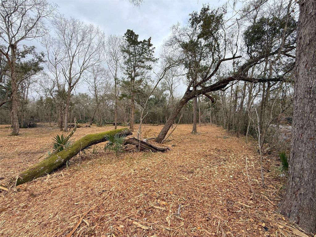 Photo of 0 Cr 289, Sweeny, TX 77480 (MLS # 94197678)