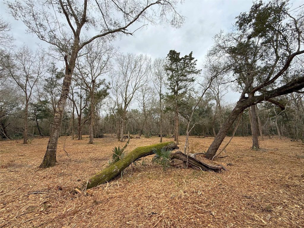 Photo of 0 Cr 289, Sweeny, TX 77480 (MLS # 94197678)