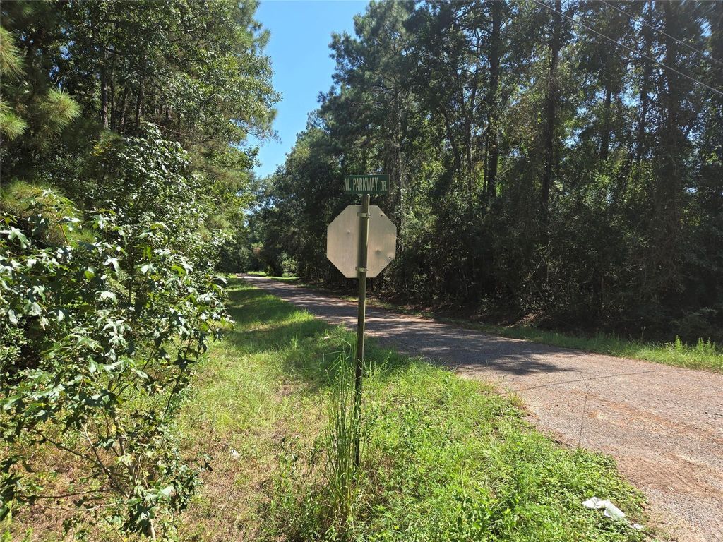 Photo of 0 W Parkway Park Dr, Conroe, TX 77302 (MLS # 87514074)