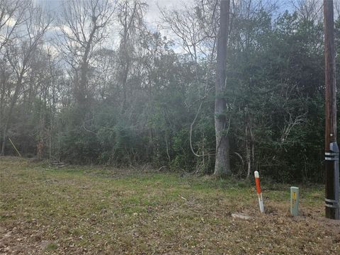 Vacant Land For Sale - Winding Creek Drive<br/> Shepherd, TX 77371