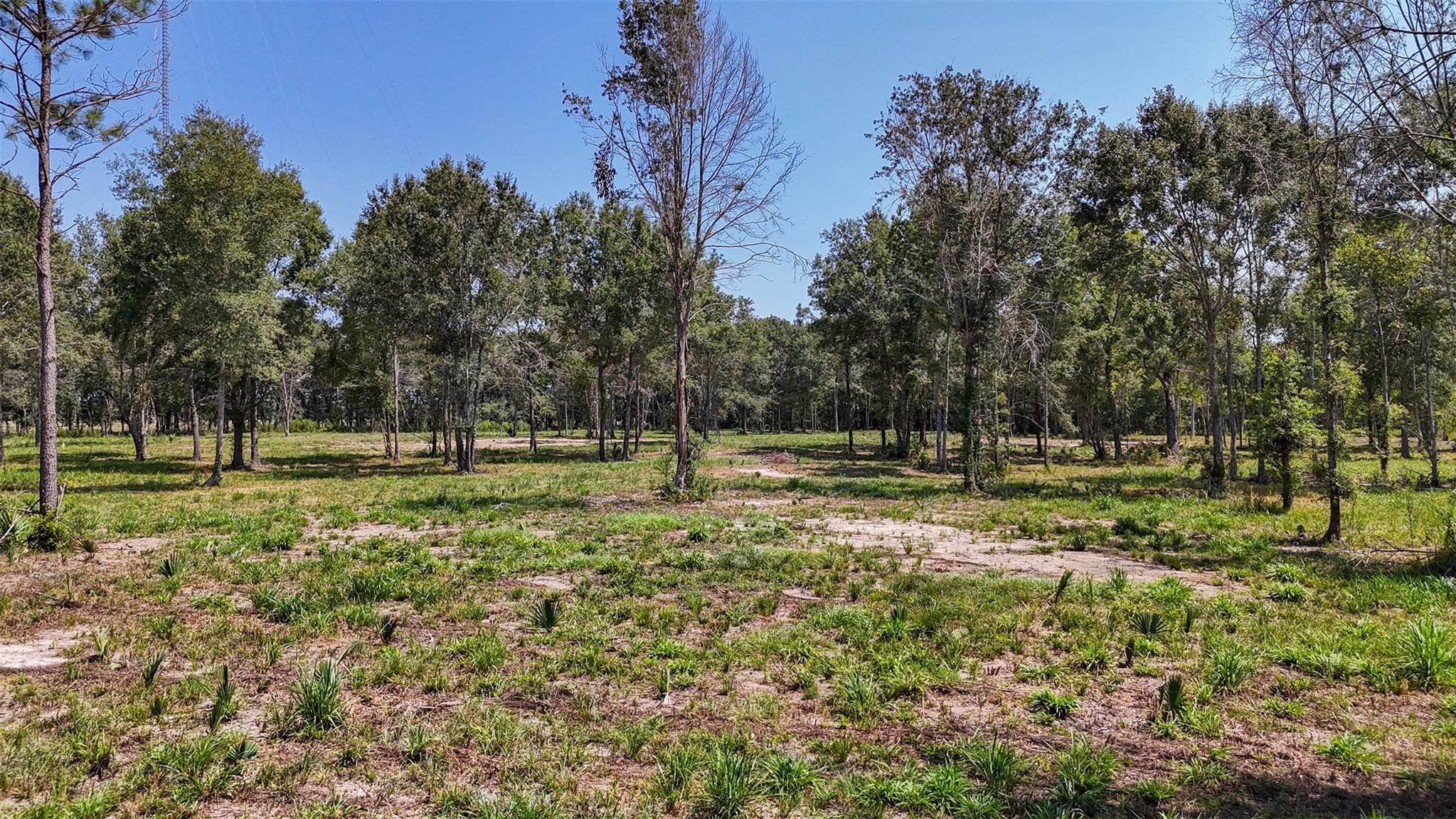 1977 County Road 105