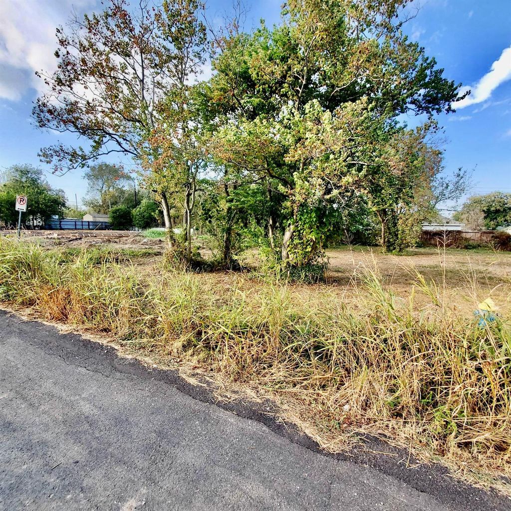 Photo of 0 Bolden Street, Houston, TX 77029 (MLS # 57096086)