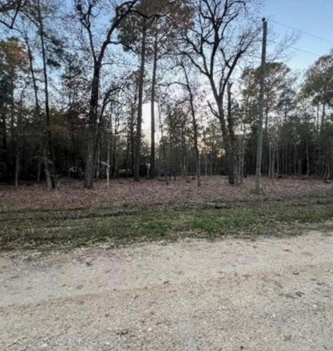 0 Deer Trail Livingston TX 77351