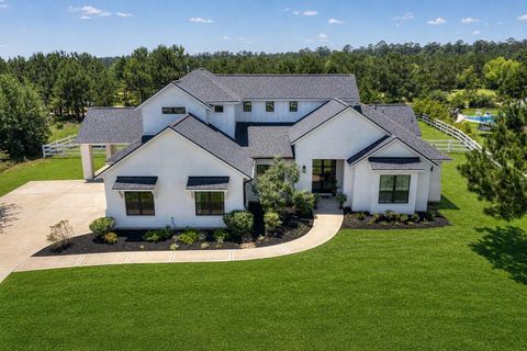 Photo of 8880 Brookes Drive, Montgomery, TX 77316 (MLS # 31820318)