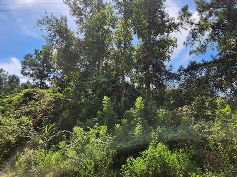 Lot 26 Mayhaw Lane Plantersville TX 77363