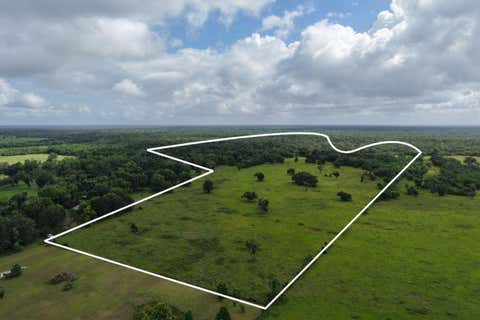 Photo of TBD County Road 164, Cedar Lane, TX 77415 (MLS # 84356985)