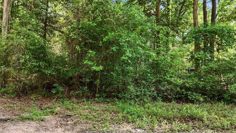 Photo of 164 Road 2699, Cleveland, TX 77327 (MLS # 17424597)