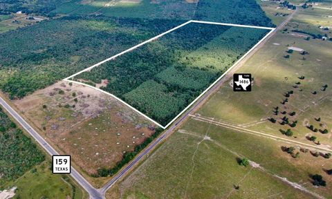 Vacant Land For Sale - 000 Fm 1486<br/> Austin County, Bellville, TX 77418
