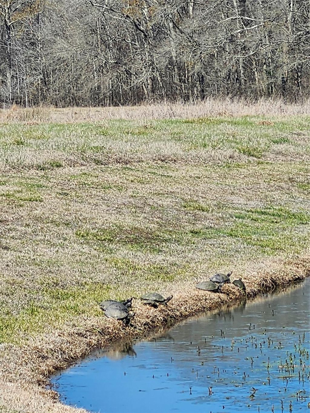 Photo of TBD Center Drive, Cleveland, TX 77327 (MLS # 47315735)