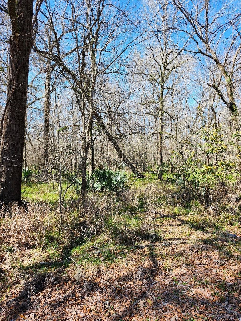 Photo of TBD Center Drive, Cleveland, TX 77327 (MLS # 47315735)