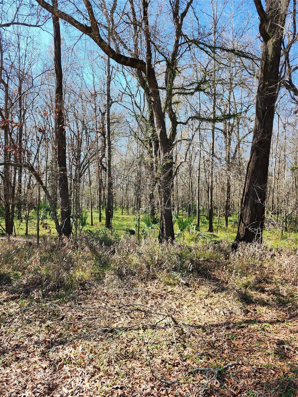 Photo of TBD Center Drive, Cleveland, TX 77327 (MLS # 47315735)