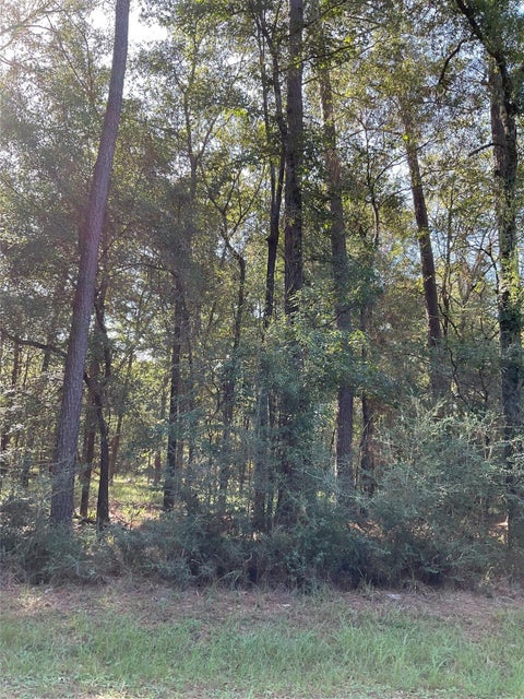 Vacant Land For Sale - 7 Cedar Springs<br/> Trinity, TX 75862