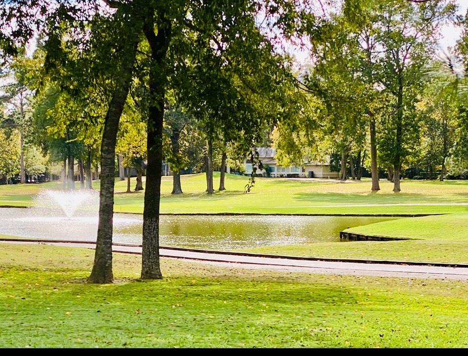 Montgomery, Texas 77356, United States, 3 Bedrooms Bedrooms, ,3 BathroomsBathrooms,Residential,Active,176274