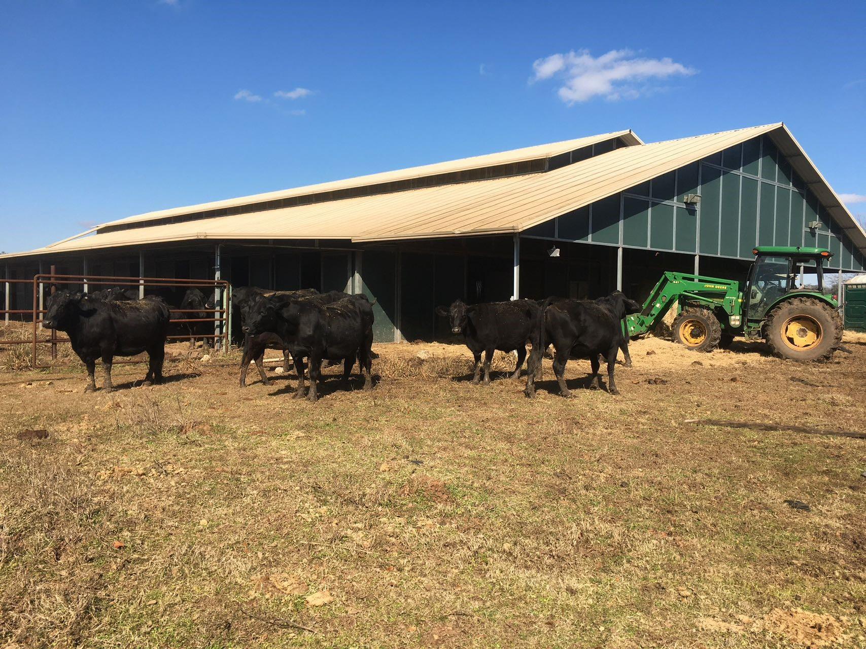 16411 Majestic Oaks Drive