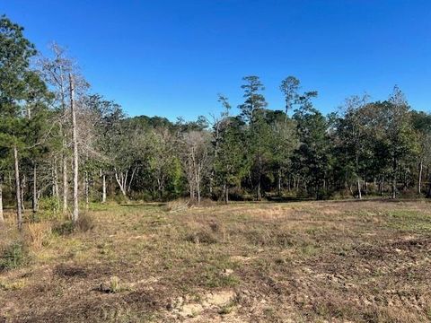 Photo of 27 Addison Rd, Livingston, TX 77351 (MLS # 71424890)