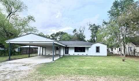 Photo of 307 E Walnut Avenue, Winnie, TX 77665 (MLS # 11177346)