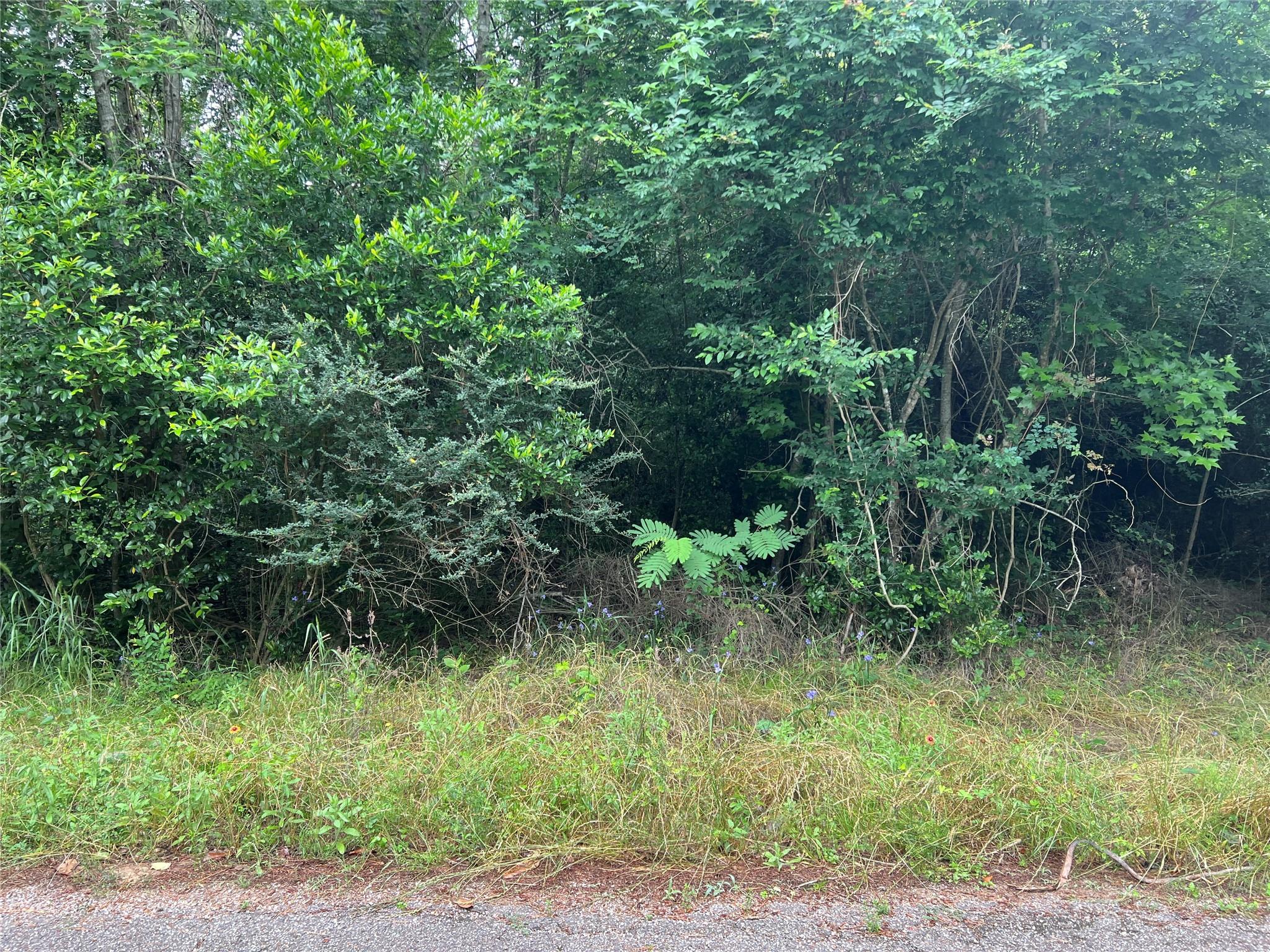 00 Rollingwood Loop