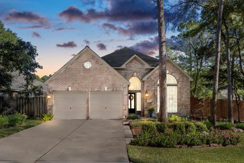6 Tethered Vine Place The Woodlands TX 77382