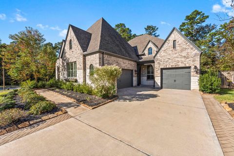303 Irenic Mist Court Conroe TX 77318