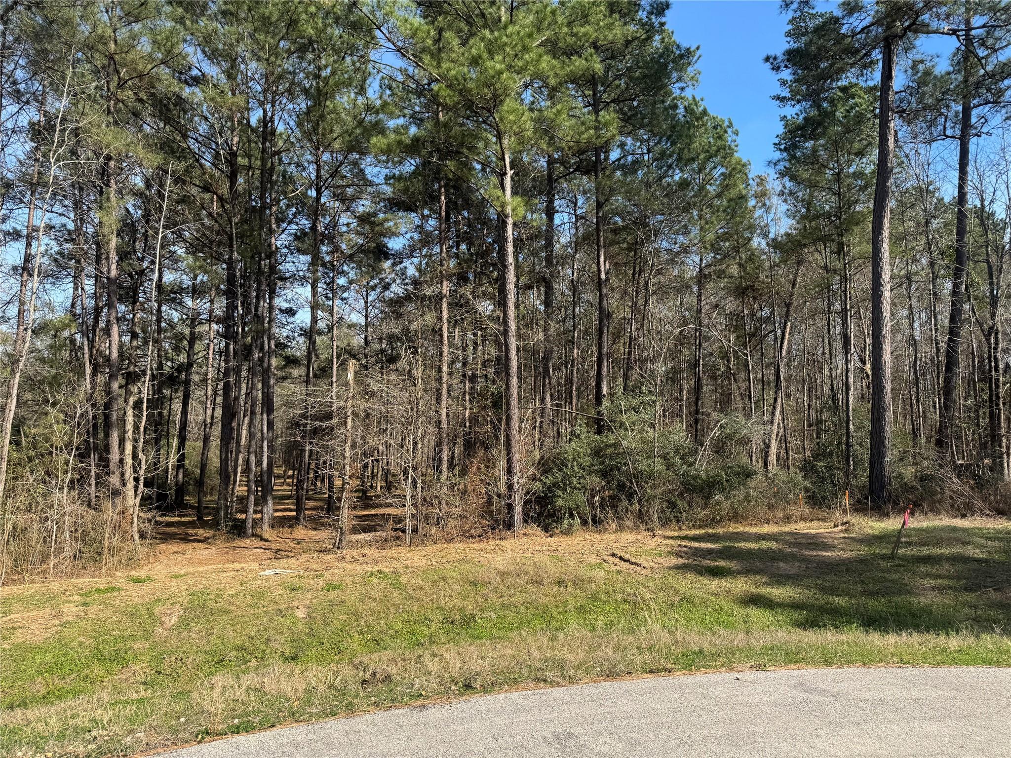 67-21-13 Bighorn Road