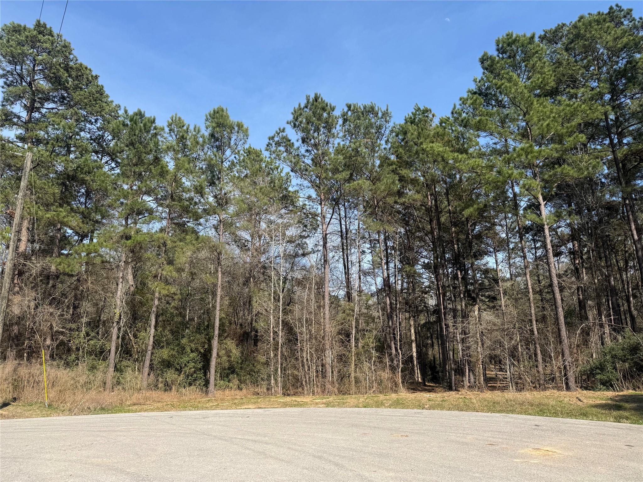 67-21-13 Bighorn Road