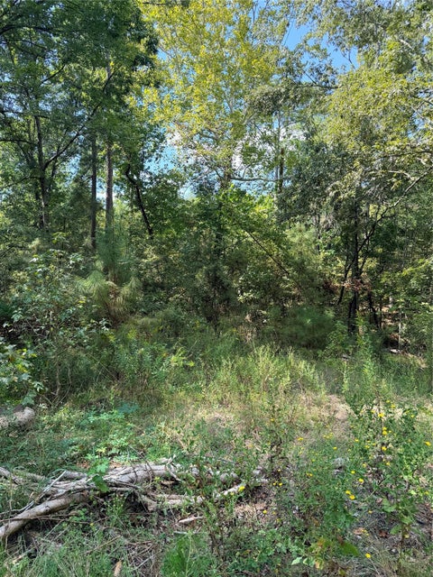 Photo of TBD Honeysuckle, Livingston, TX 77351 (MLS # 44067864)