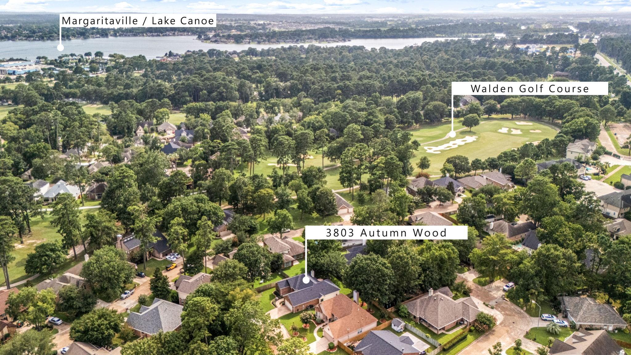 3803 Autumn Wood