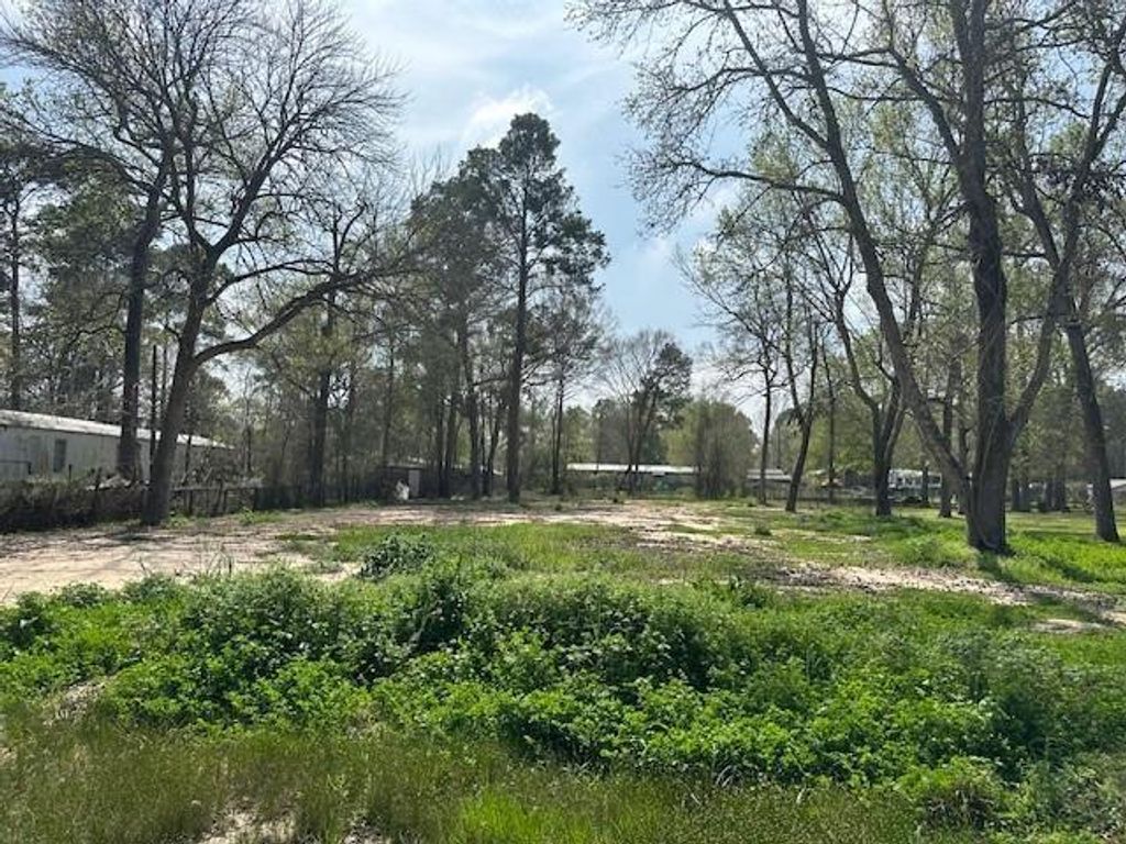 Photo of 16750 Oak Knoll Drive, Porter, TX 77365 (MLS # 27689075)