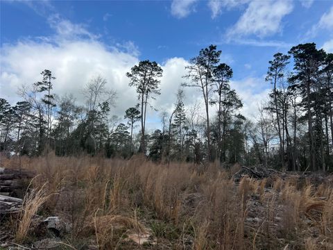 Vacant Land For Sale - TBD Three Bridges Road<br/> Livingston, TX 77351