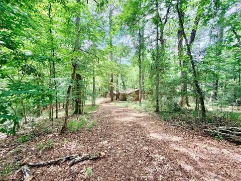 Photo of 962 Fm 256 E, Woodville, TX 75979 (MLS # 3531389)