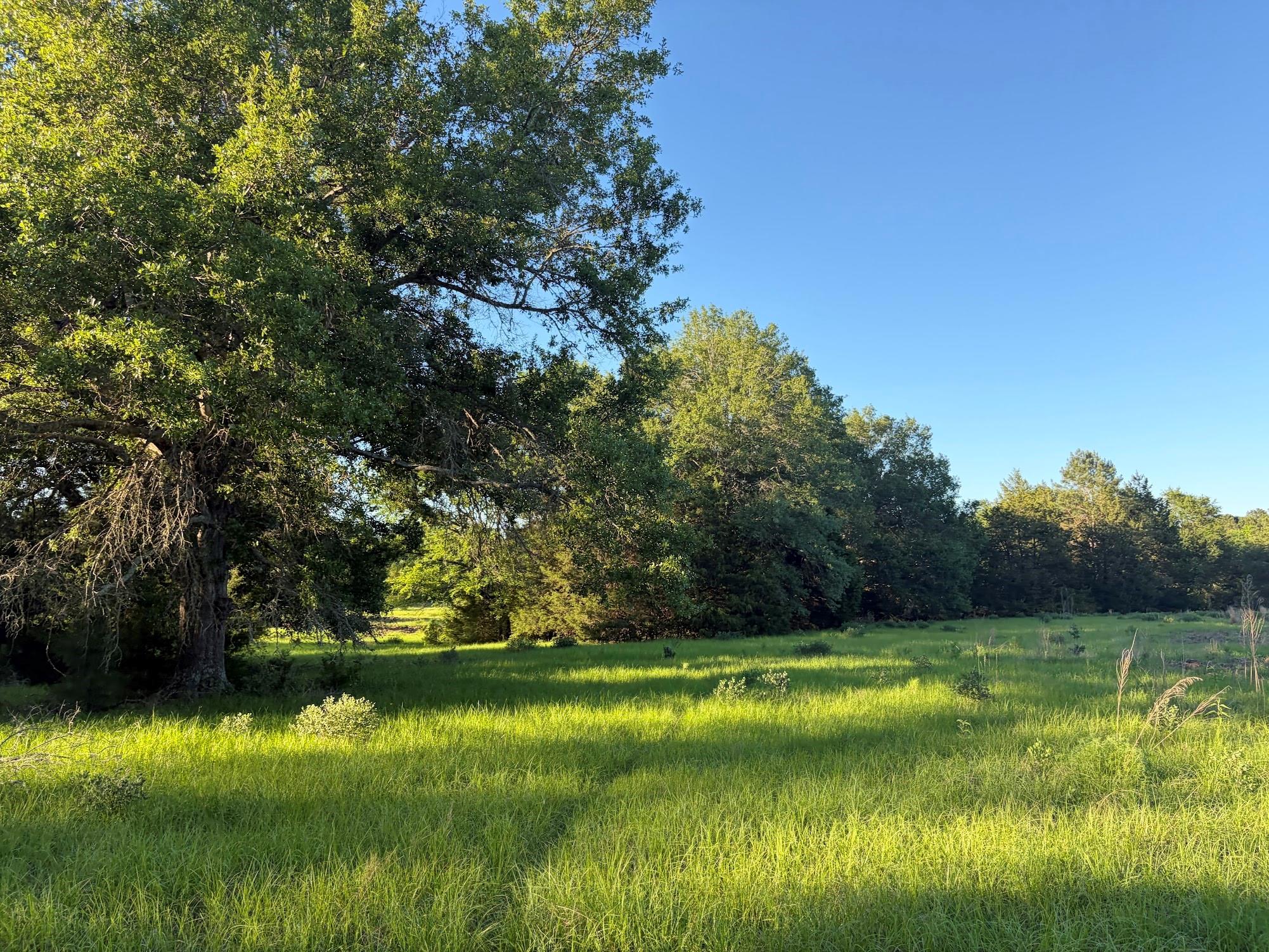 289 County Road 261