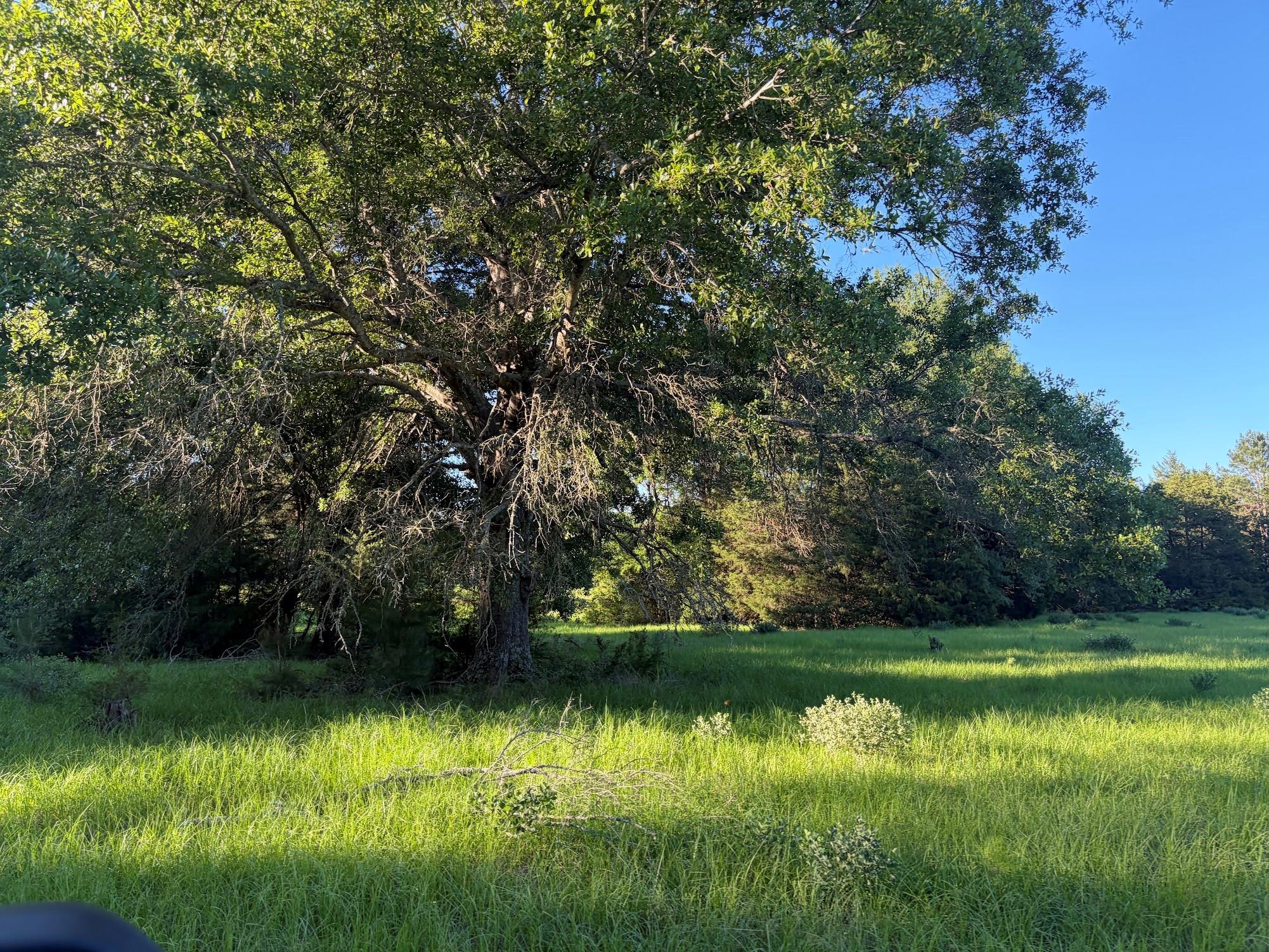 289 County Road 261