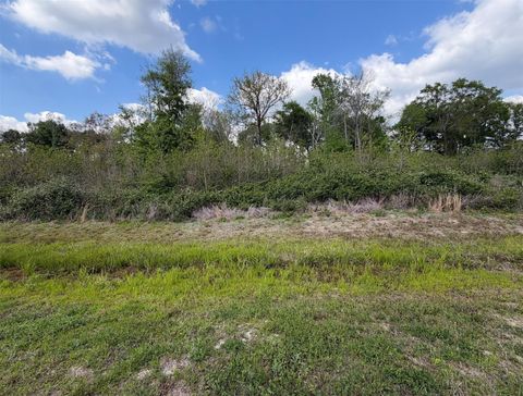 Photo of 74 County Road 6615, Dayton, TX 77535 (MLS # 17814088)